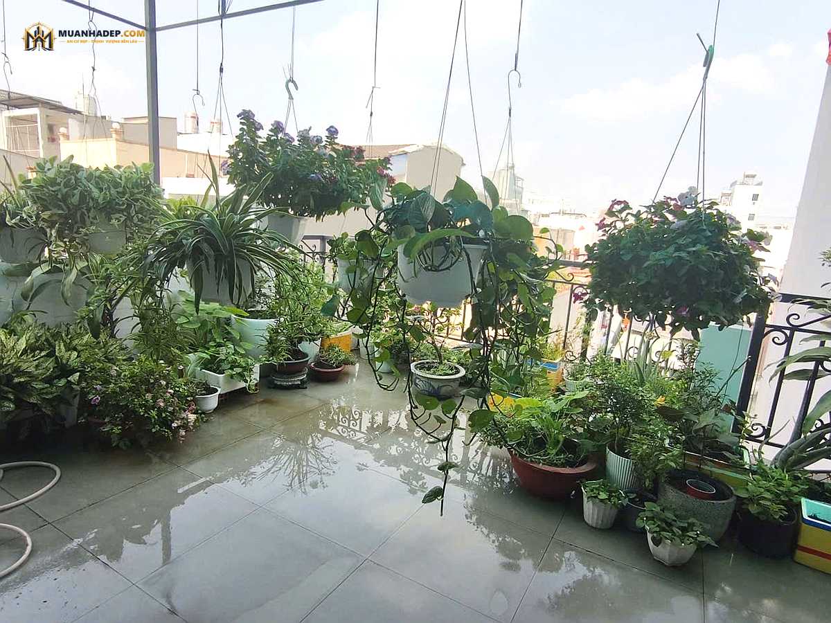 mua nhà