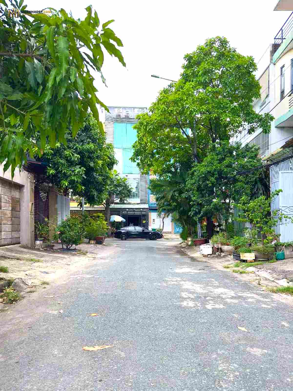 mua-nha-1712-12-1.jpg